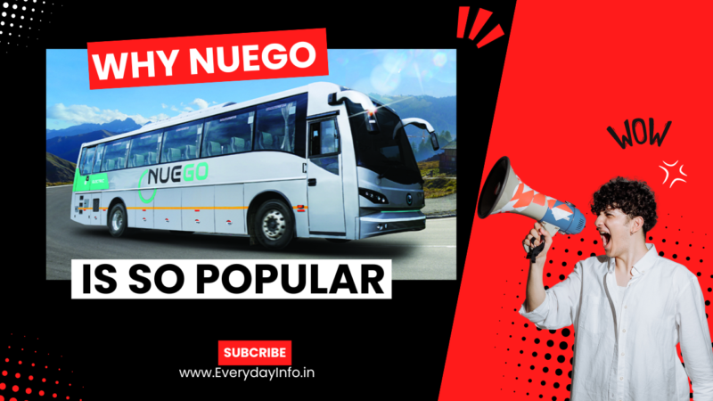 Why NueGo Bus is so Popular? How to book ticket?